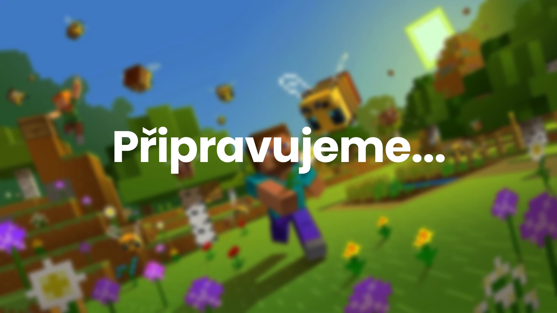 Coming Soon